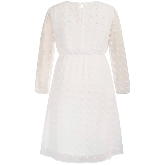 Chiffon Swiss Dot Empire Party Dress with Sheer Long Sleeves 💕 Plus Size 22/24 - Picture 3 of 7